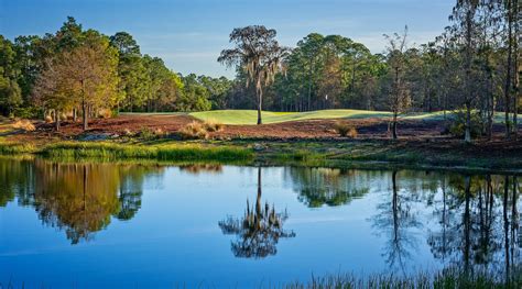 Tiburón Golf Club - The Ultimate Golf Experience.