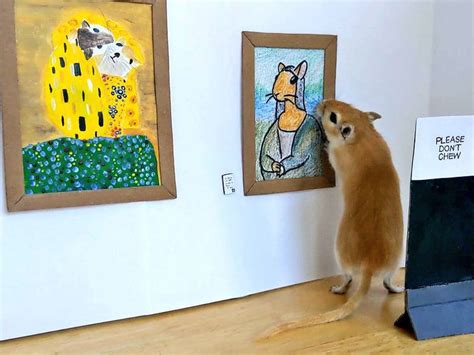 Two Bored Artists Create a Mini Art Museum for Their Gerbils - TasteTV