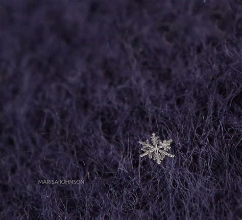 3 Simple Tips For Snowflake Macro Photography