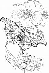 Coloring Pages Printable Free sketch template