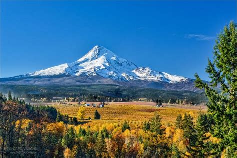 Top Spots for Fall Color in Oregon - Wanders & Wonders