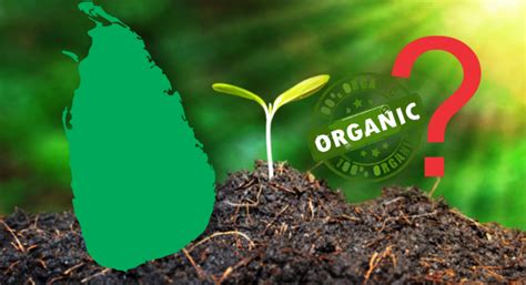 Sri Lanka Going Organic: Rethink the strategy; Agriculturists Write to ...