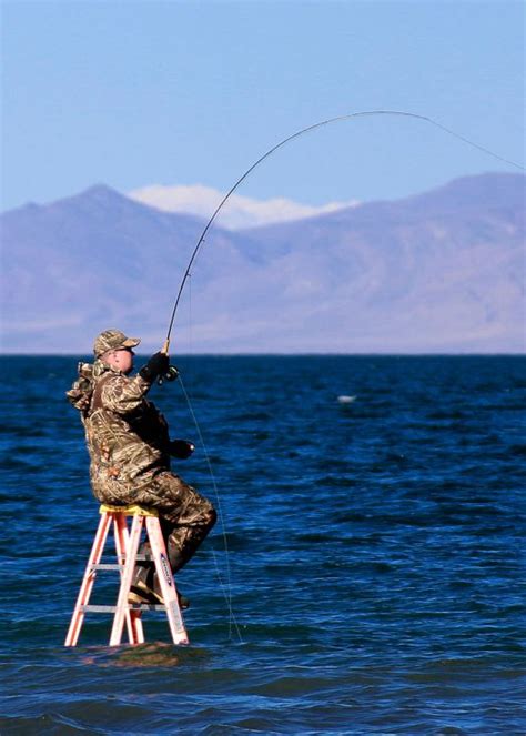 Pyramid Lake Ladders - fiftyflyfish.com