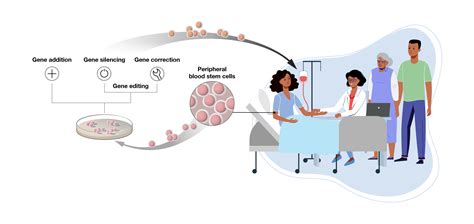 Understanding gene therapy approaches