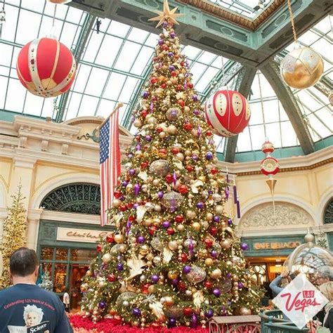 Christmas display at Bellagio ☆ | Navidad