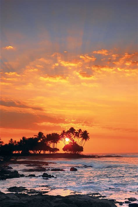 Large 55 x 74.5 Peter Lik Framed Photograph - Sunset Photograph, Signed ...