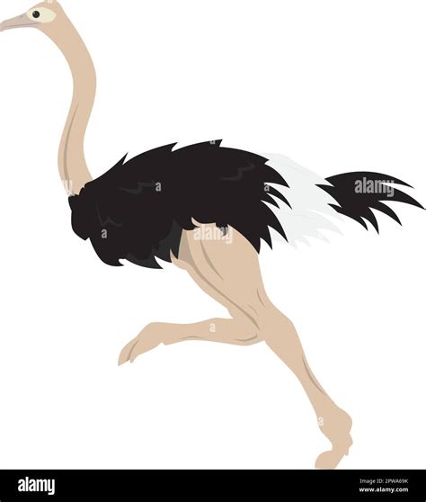 Detailed Ostrich with Running Gesture Illustration Stock Vector Image ...