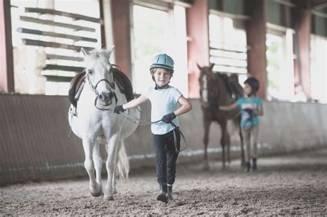 Riding School Lessons Training Horseback Riding Equestrian Training ...