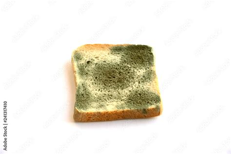 Mold growing rapidly on moldy bread on white background..Scientists modify fungus found on bread ...