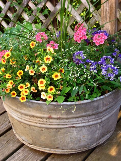 tyuka.info | Garden containers, Plants, Full sun container plants