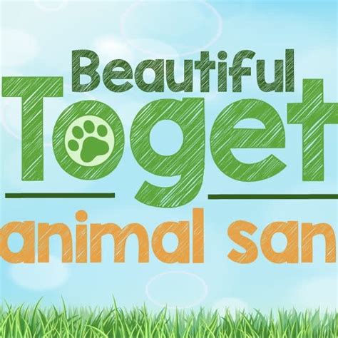 Beautiful Together Animal Sanctuary volunteer opportunities | VolunteerMatch