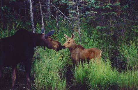 Ontario Parks (@OntarioParks) / Twitter