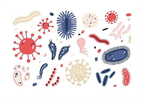 How Important are Microorganisms? - My Best Medicine