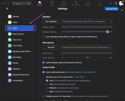 How To Mute a Zoom Meeting (Mobile & PC)