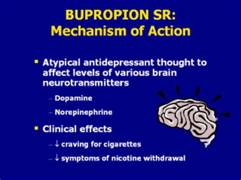 Bupropion SR has been shown to promote long-term abstinence when compared to placebo and to ...