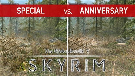 Skyrim special edition - lasemcomfort