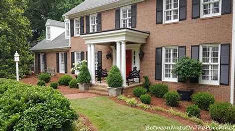 How I Plant Shrubs and Trees in Georgia’s Red Clay Soil