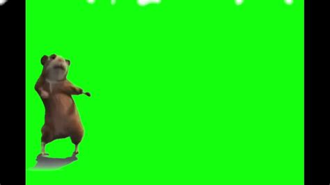 green screen break dancing guinea pig - YouTube