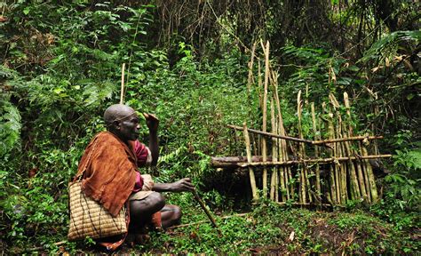 Bwindi Impenetrable Forest National Park - The Africa Adventure Company