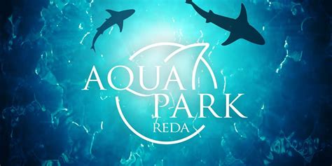 The new Aqua Park Reda. Is it worth the trip? – Poland In Your Pocket Blog