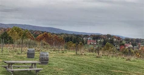 Exploring Two Wineries in Purcellville Virginia - Grapes & Grains