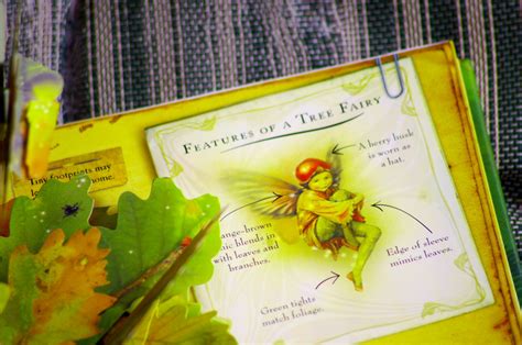 nature books for children