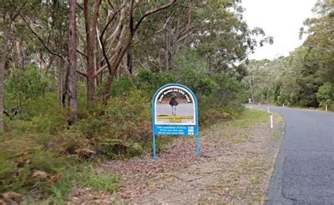 Illaroo Campground, Yuraygir National Park, NSW - Indefinite Leave