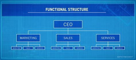 Functional Organization: Definition, Examples, Features, and Advantages