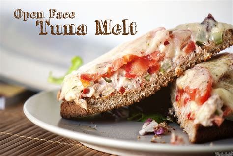 Open Face Tuna Melt for One Recipe | Tuna melts, Recipes, Harvest recipes