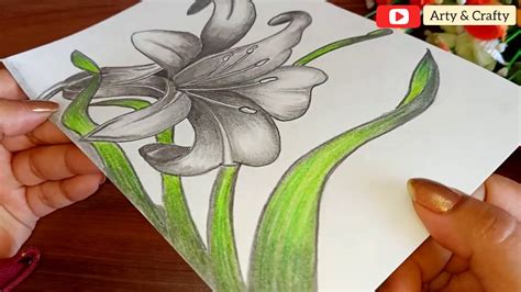 How to Draw Flower Step by Step | Pencil Shading Drawing | Easy Flower Drawing by Arty & Crafty ...