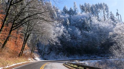 5 Reasons to Visit Gatlinburg This Winter