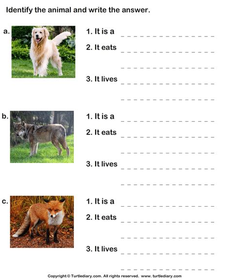 List of Animals in the Dog Family | Turtle Diary Worksheet