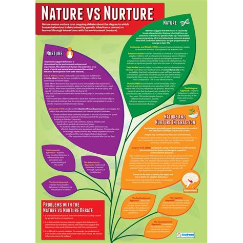 Nature vs Nurture Poster - Daydream Education