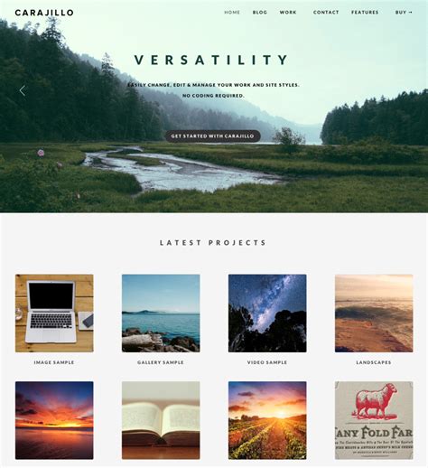 30 Perfect WordPress Photography Themes