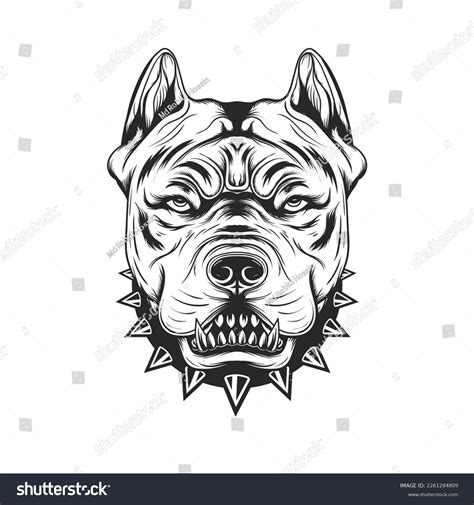 Angry Pitbull Head Isolated Hand Drawing Stock Vector (Royalty Free ...