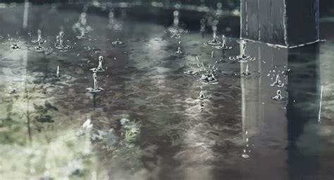 Rain Raindrops GIF - Rain Raindrops - Discover & Share GIFs | Rain ...