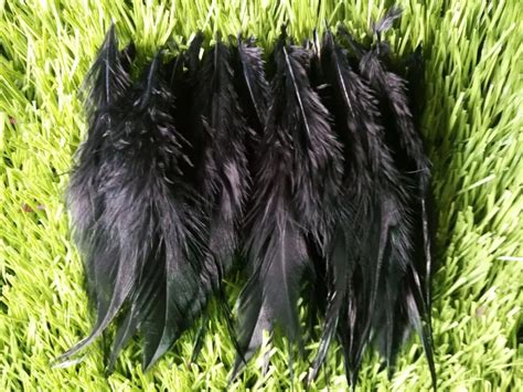 Wholesale perfect 20pcs high quality natural Turkey feathers 4 6inch / 10 15cm Decorative diy ...