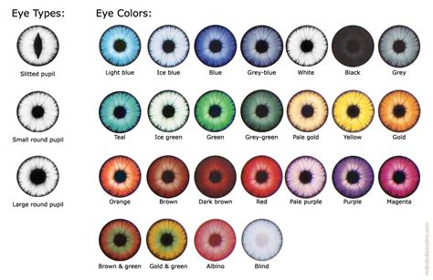 List of Eye Colors | Fantasy eye color, Eye color chart, Rare eye colors