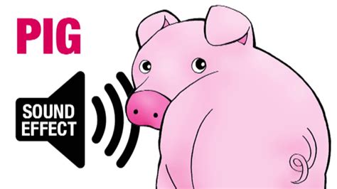 Pig Sound Effect - Oink - YouTube