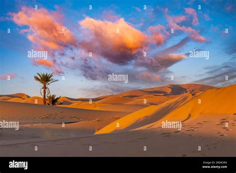 Sand dunes in the great Sahara desert in Morocco Stock Photo - Alamy