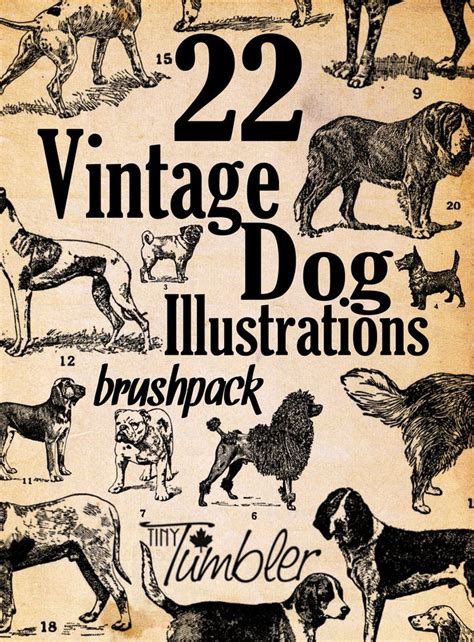 22 Vintage Dog Illustrations Brushpack by TinyTumbler | Dog ...