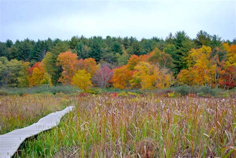 10 Great Fall Foliage Walks in Litchfield, Autumn 2022