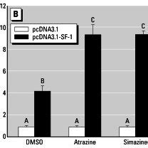 Effects of atrazine and simazine (10−5 mol/L each for A and B; as... | Download Scientific Diagram