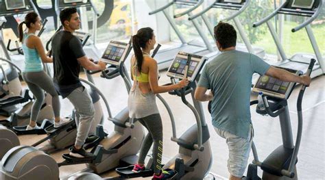 Gym-Goers Using the Elliptical Trainer