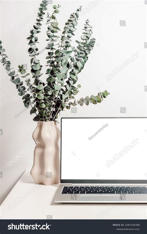 13,608 Aesthetic Website Images, Stock Photos, 3D objects, & Vectors | Shutterstock