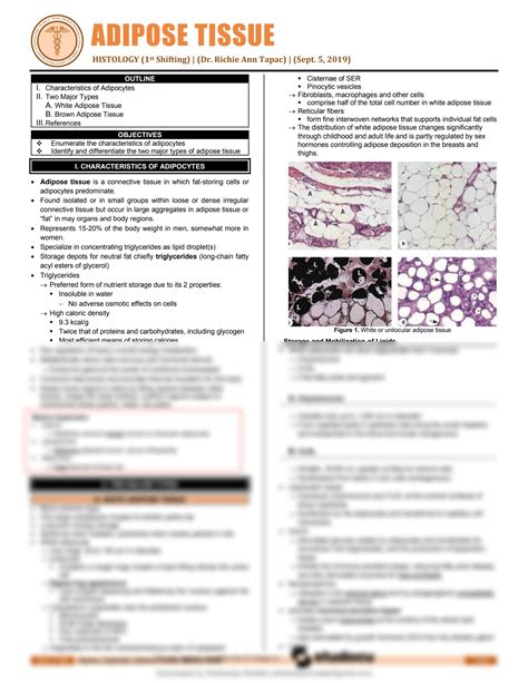 SOLUTION: Histology of the adipose tissue - Studypool