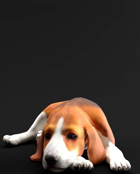 JOHN WICK BEAGLE DOG PUPPY - 3D MODEL CINEMA 4D - CORONA 3D model rigged | CGTrader