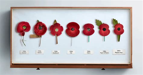 Poppies Through The Ages | About the Poppy|Royal British Legion