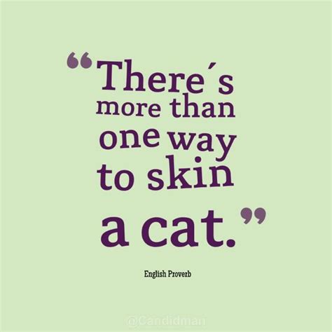 There Are Many Ways to Skin a Cat