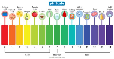 Ph Scale Examples